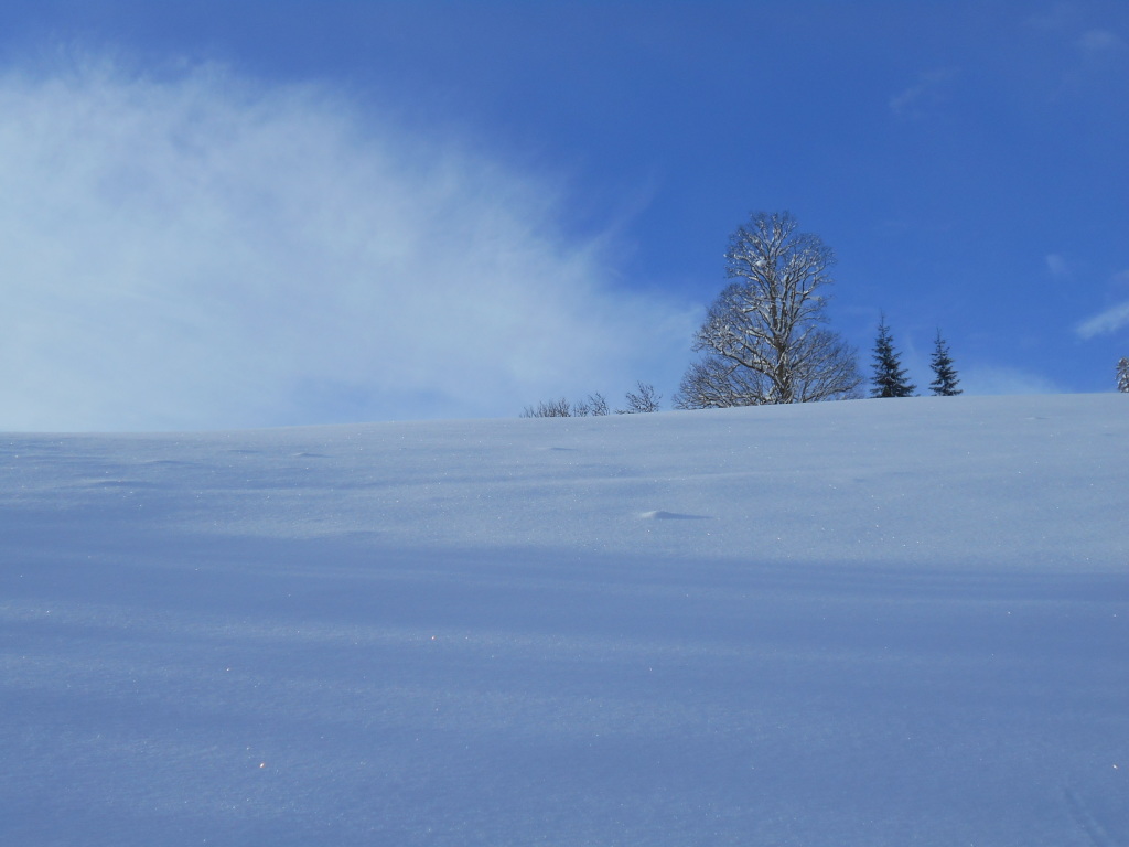 Unverspurter Tiefschneehang