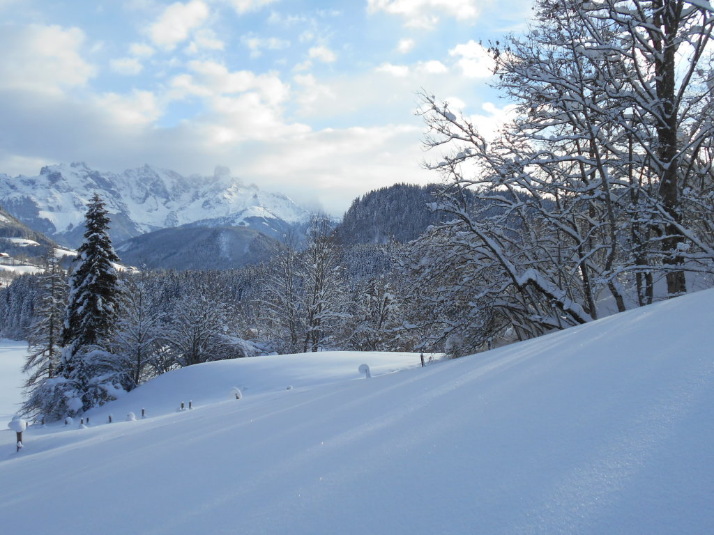 Blick zum Gosaukamm