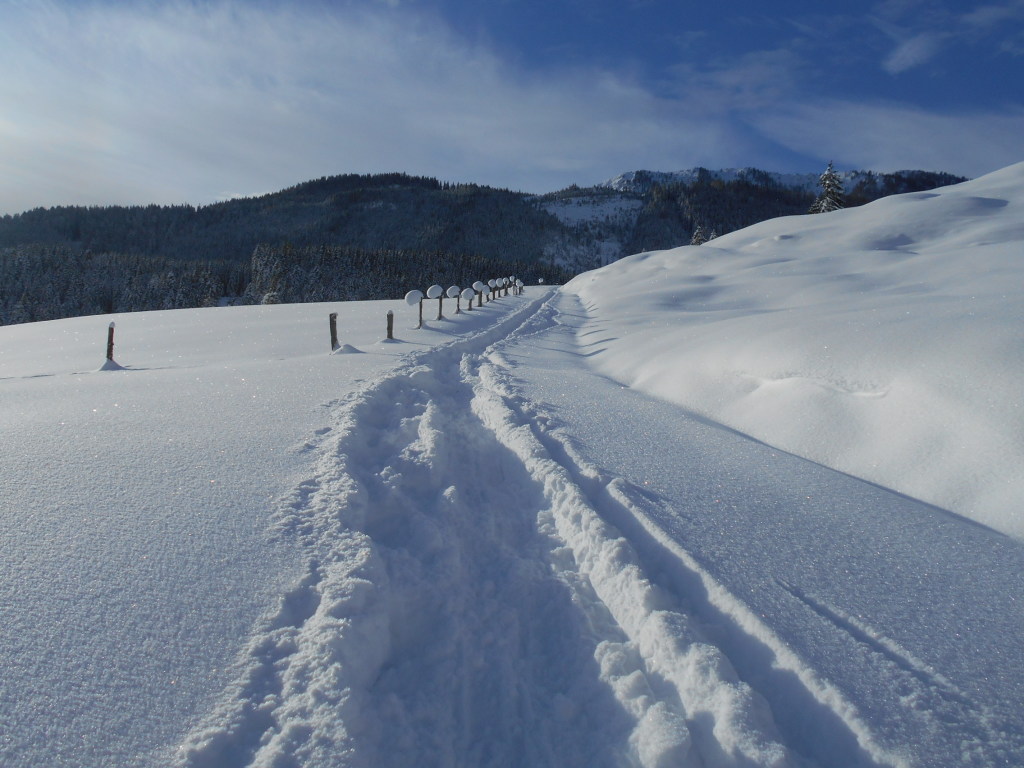 Spur auf die Spießalm im Lammertal