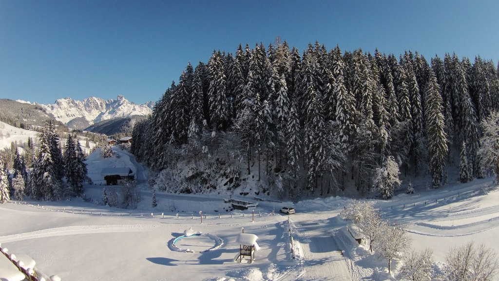 Winterwald im Lammertal