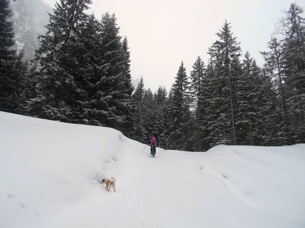 schneeschuhwanderung-aualm-maerz-11