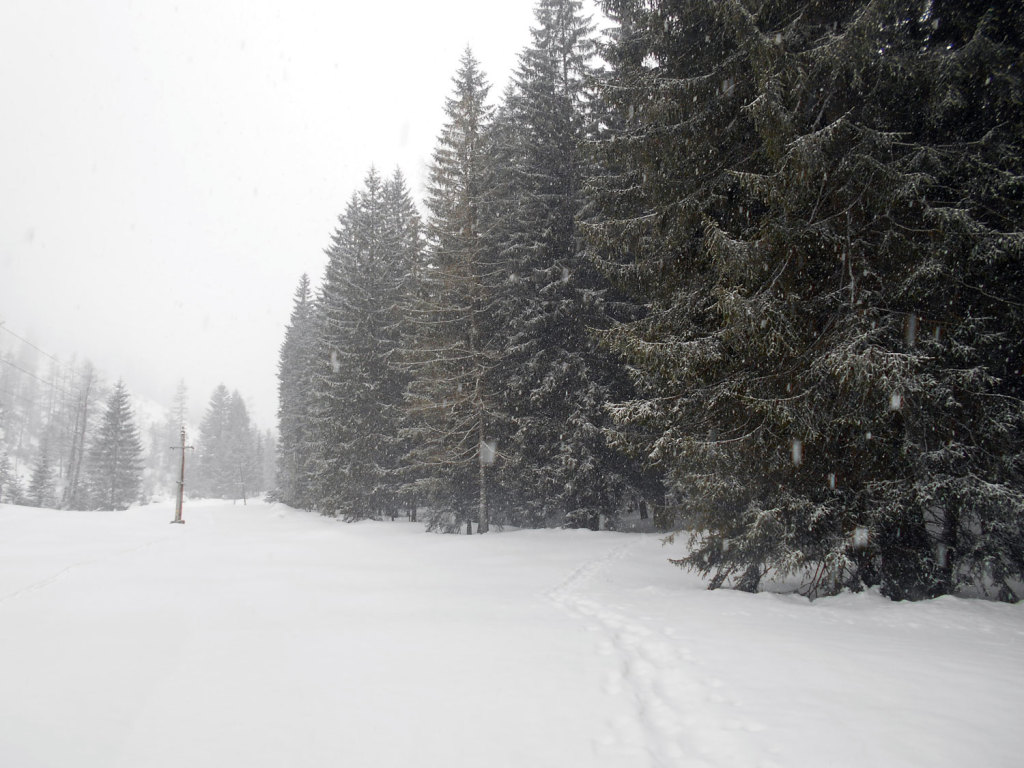 schneeschuhwanderung-aualm-maerz-4