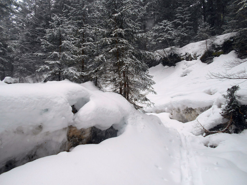 schneeschuhwanderung-aualm-maerz-5