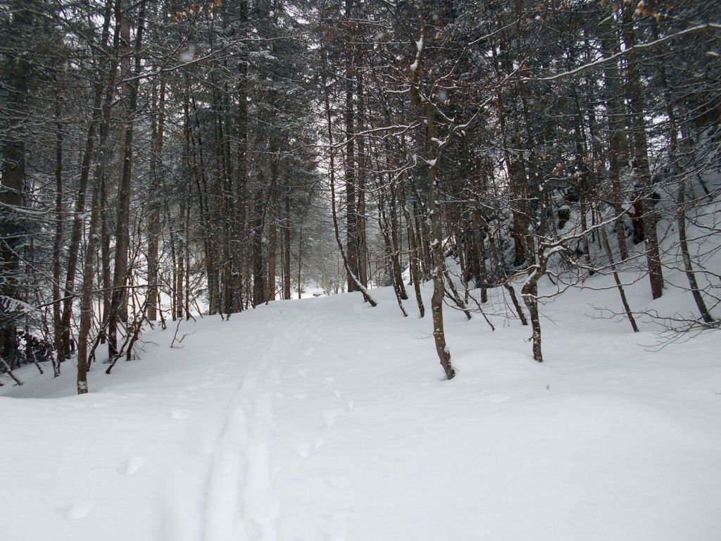 schneeschuhwanderung-aualm-maerz-7