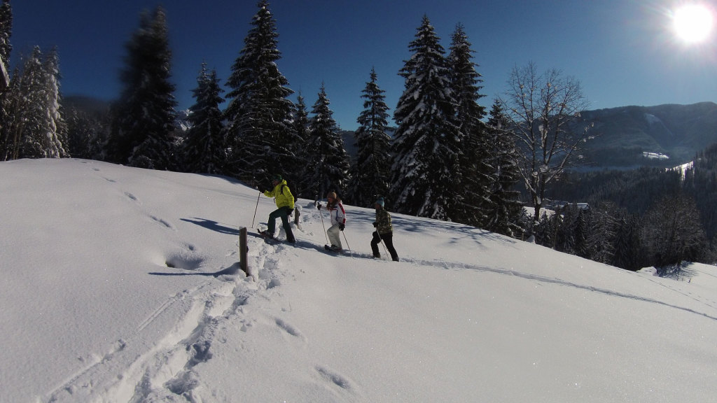 Schneeschuhwanderung im Lammertal