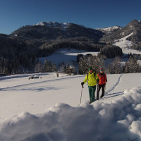 Alternativer Wintersporturlaub im Lammertal