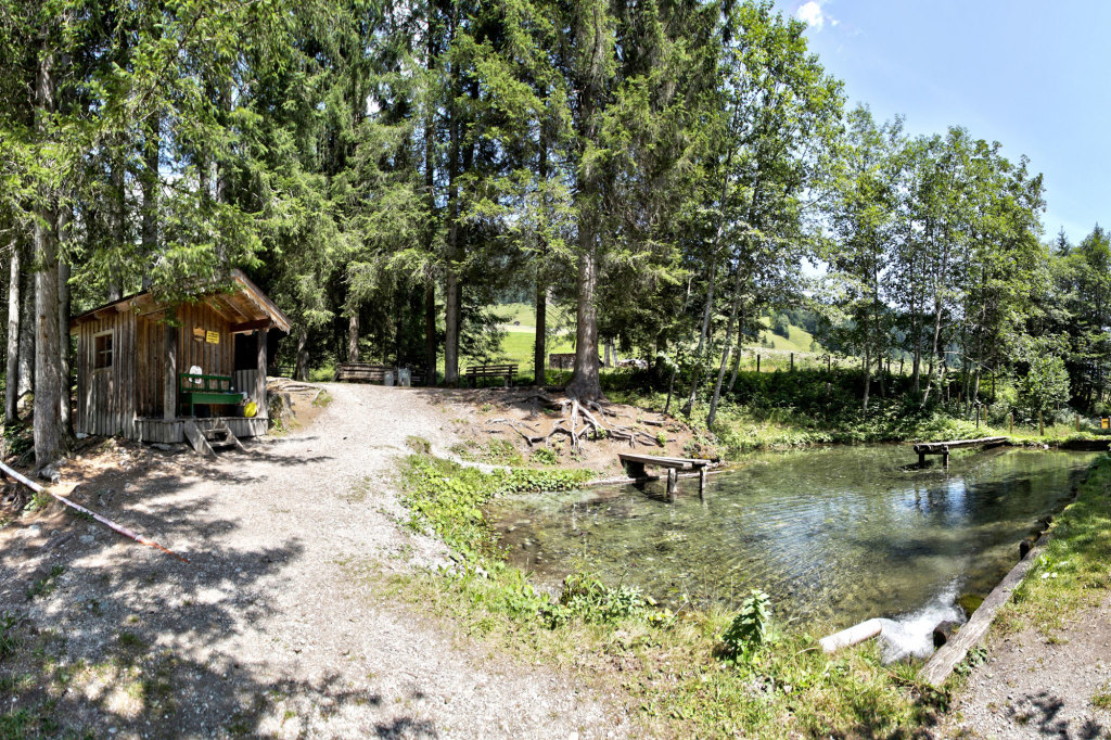 Fischteich im Lammertal im Salzburger Land