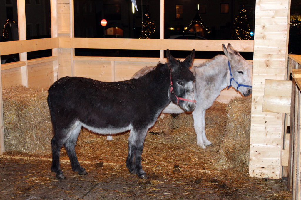 weihnachtsmarkt-radstadt-2016-8