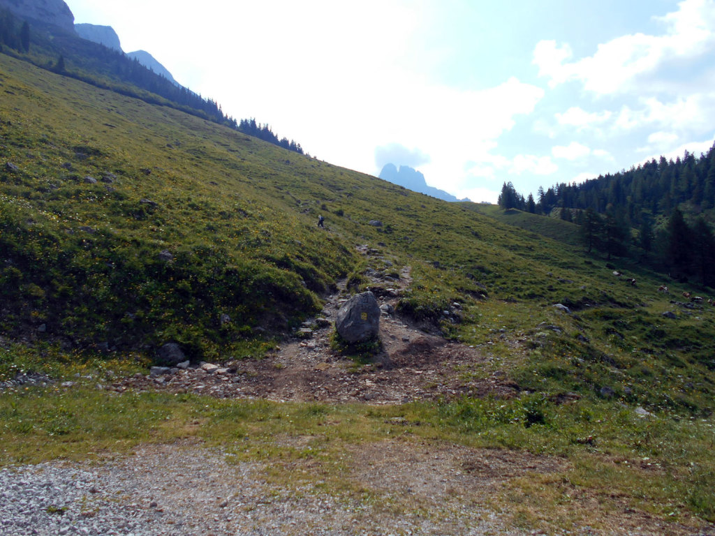 Blick Richtung Stuhlalm