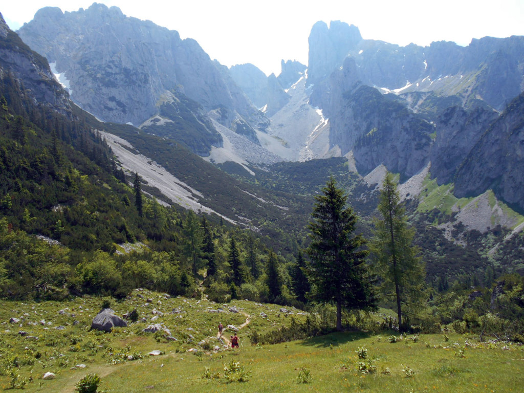 Almlandschaft am Gosaukamm