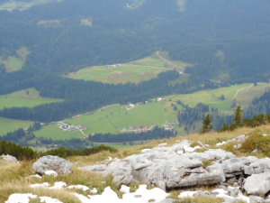 DSCN9011