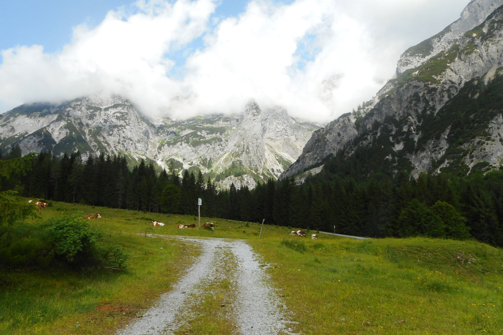 fruehling-wanderung-lammertal-2