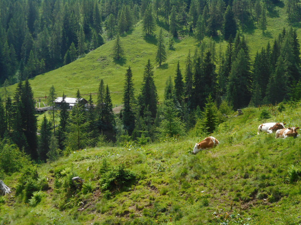 fruehling-wanderung-lammertal-3