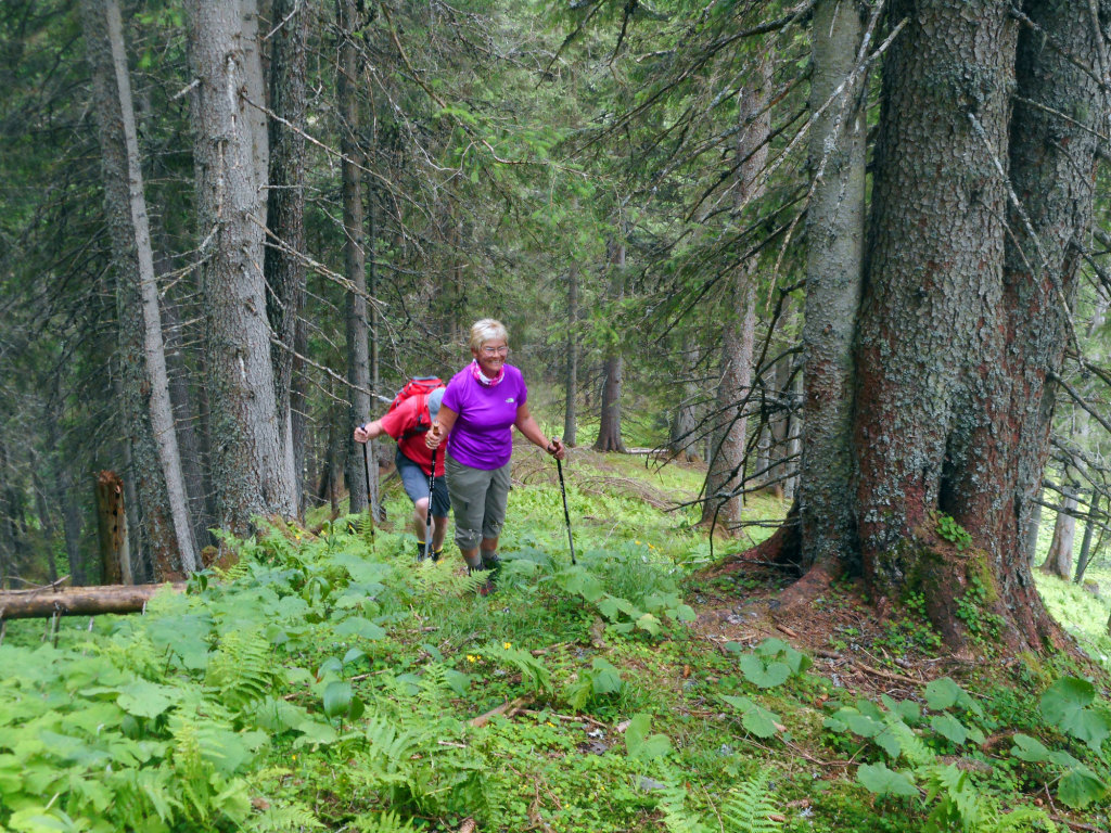 Jägersteig im Lammertal