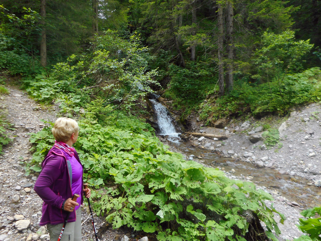 Wasserfall im Lammertal