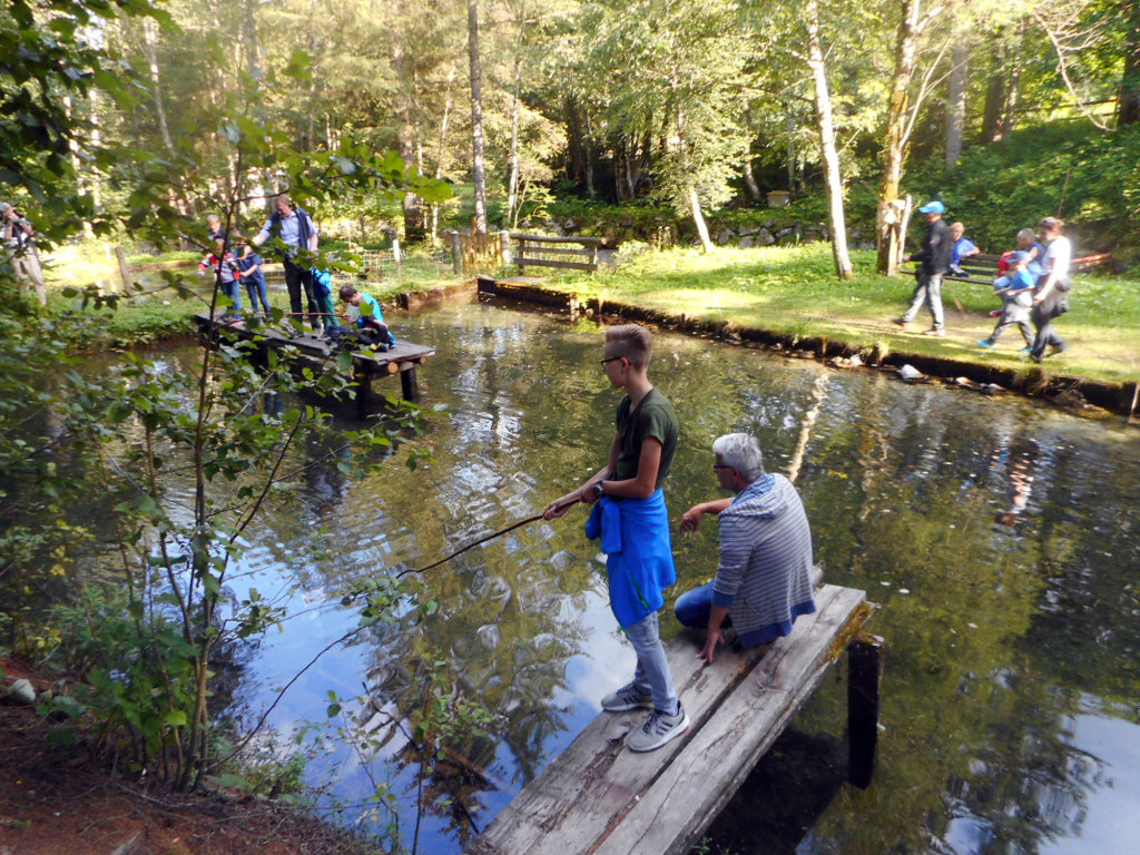 Fischteich im Lammertal