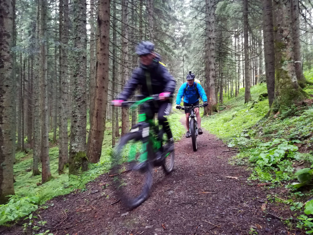 Geführte E-Bike Tour im Lammertal