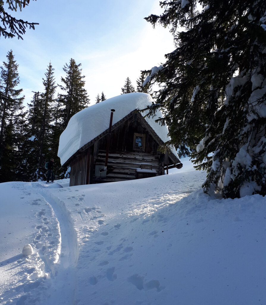 Schneeschuhwanderung auf den Gerzkopf