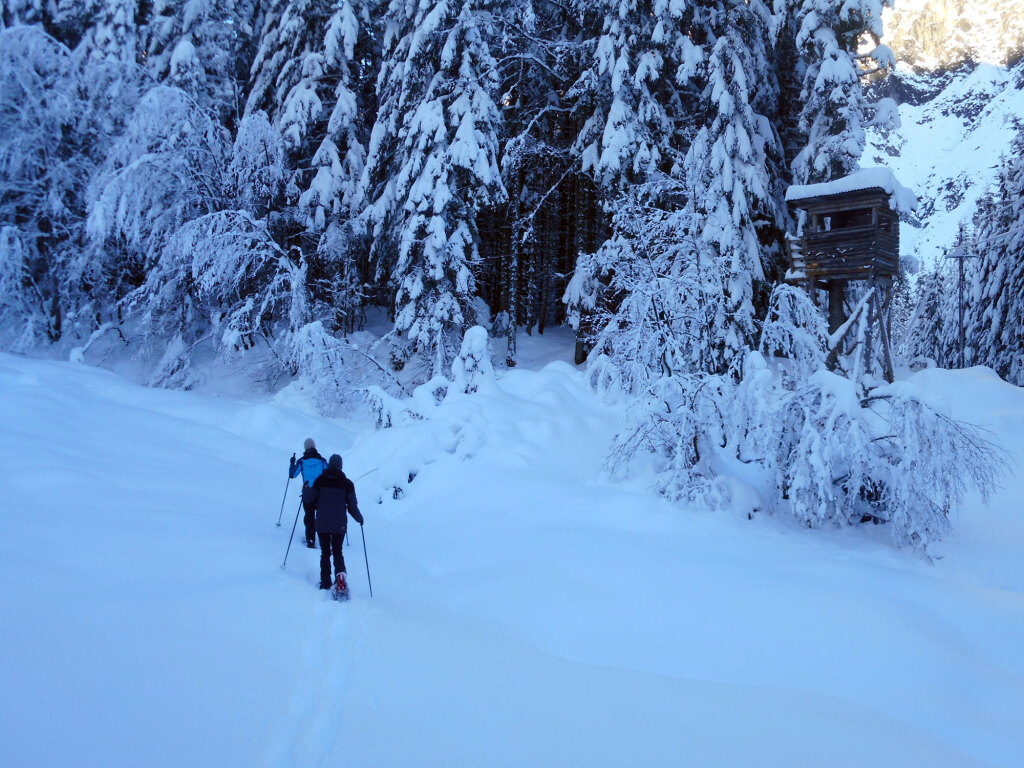 schneeschuhwanderung-aualm-31-dez-19-11