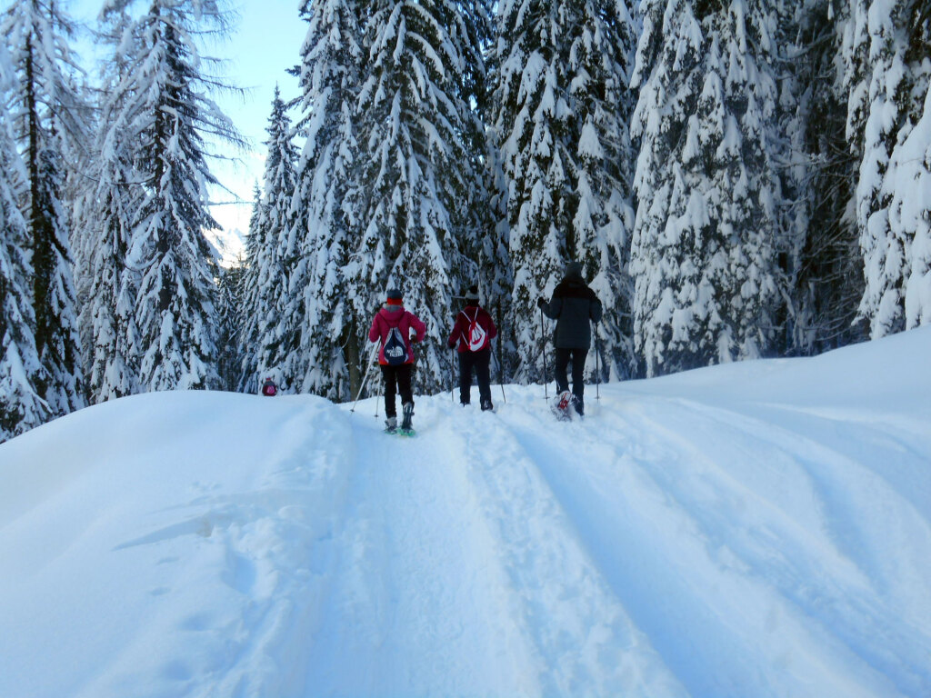 schneeschuhwanderung-aualm-31-dez-19-3