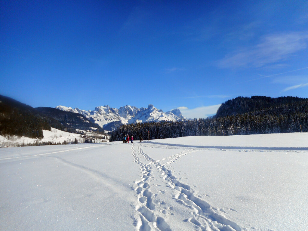 schneeschuhwanderung-aualm-31-dez-19-4