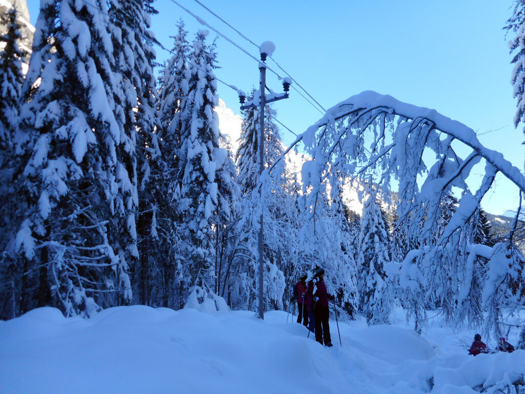 schneeschuhwanderung-aualm-31-dez-19-8