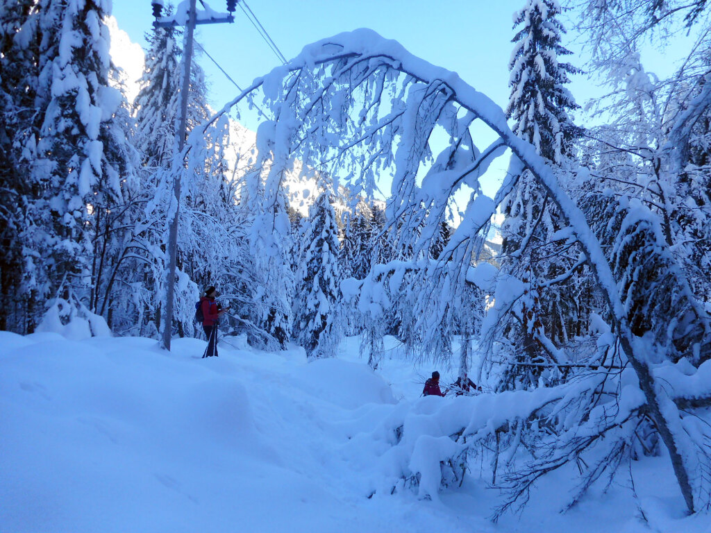 schneeschuhwanderung-aualm-31-dez-19-9