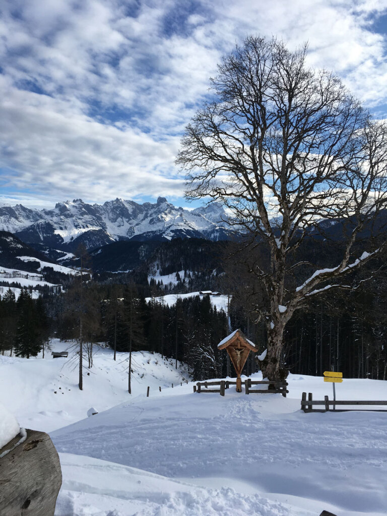 schneeschuhwanderung-spiessalm-07-jan-20-1