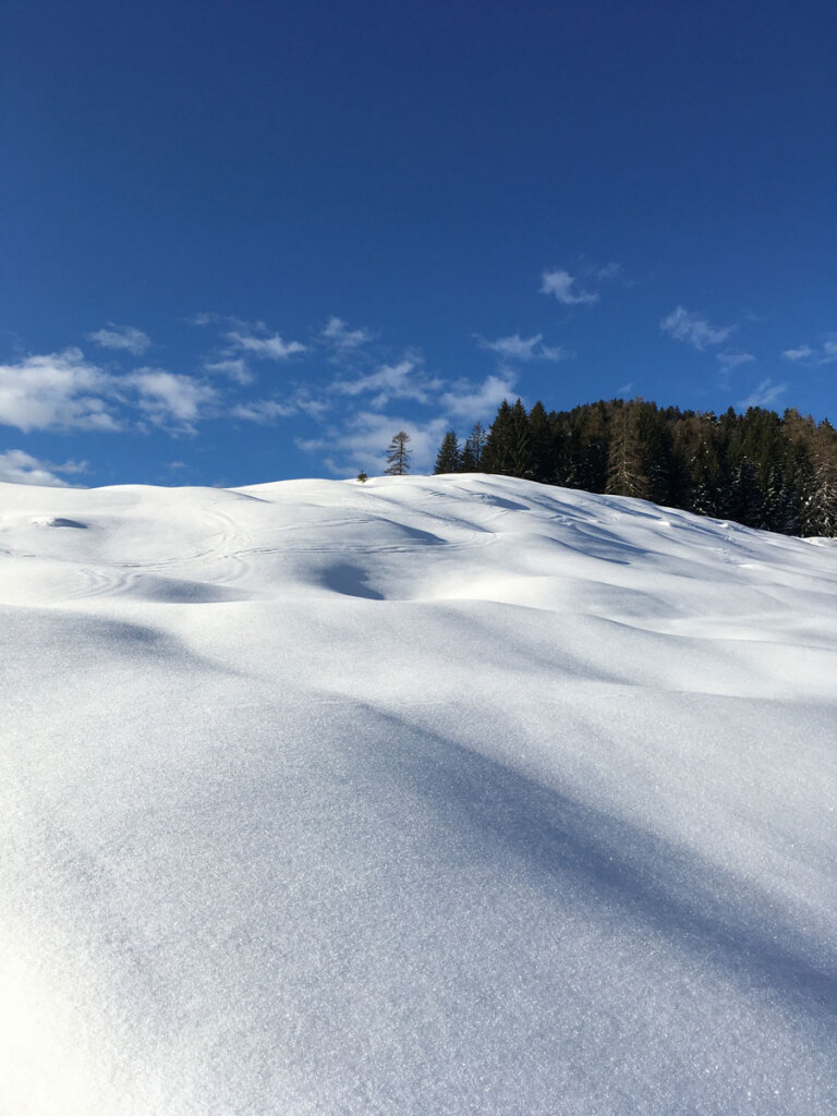 schneeschuhwanderung-spiessalm-07-jan-20-10