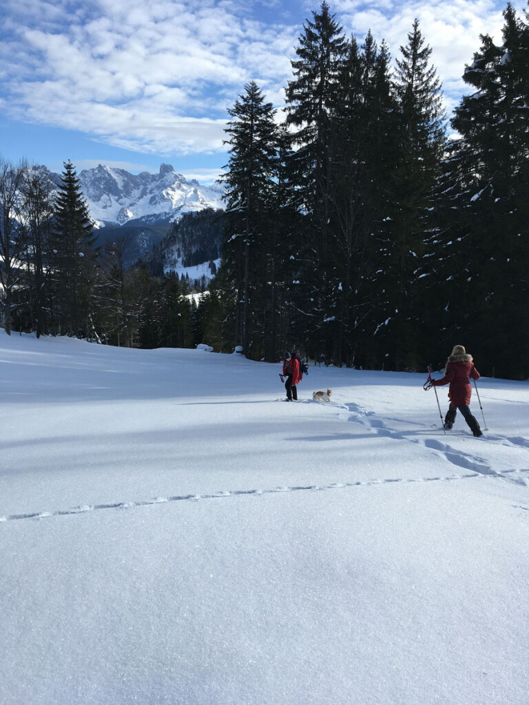 schneeschuhwanderung-spiessalm-07-jan-20-4