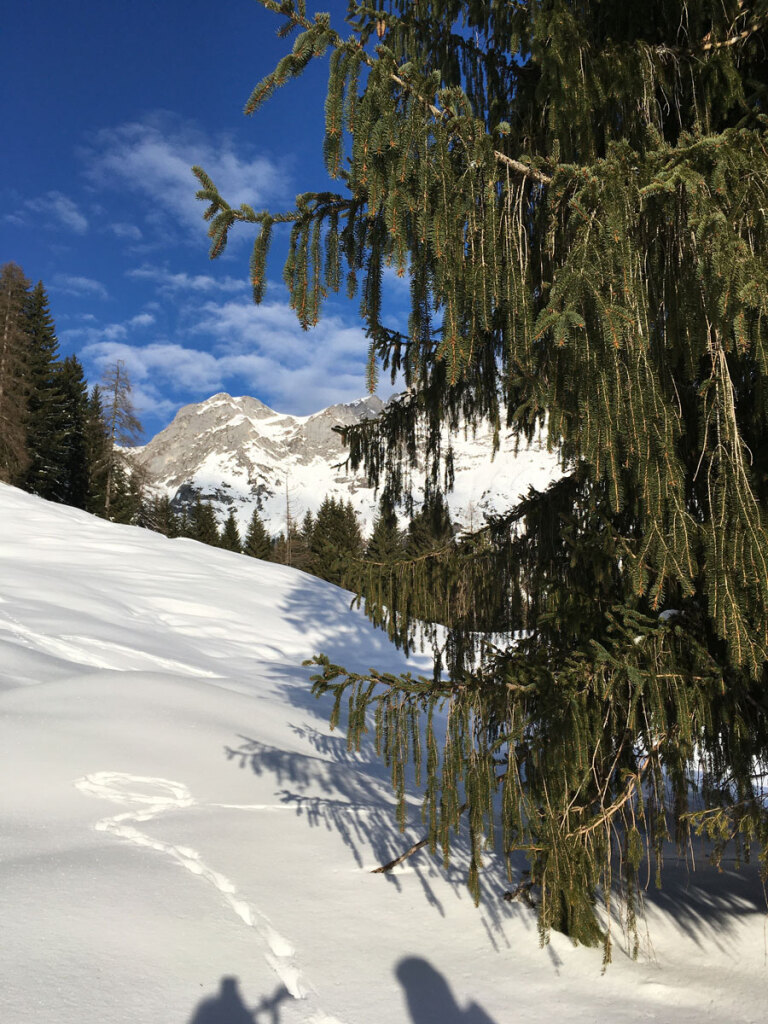 schneeschuhwanderung-spiessalm-07-jan-20-6