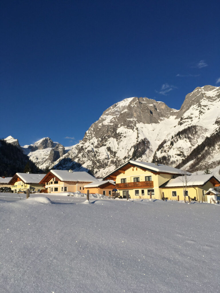 schneeschuhwanderung-spiessalm-07-jan-20-8