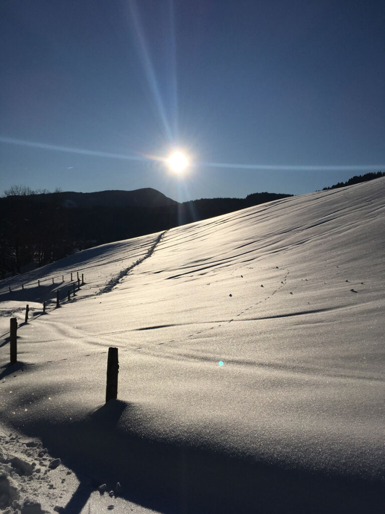 schneeschuhwanderung-spiessalm-07-jan-20-9