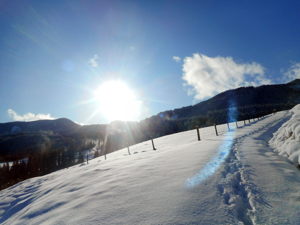 schneeschuhwanderung-spiessalm-24-dez-19-4