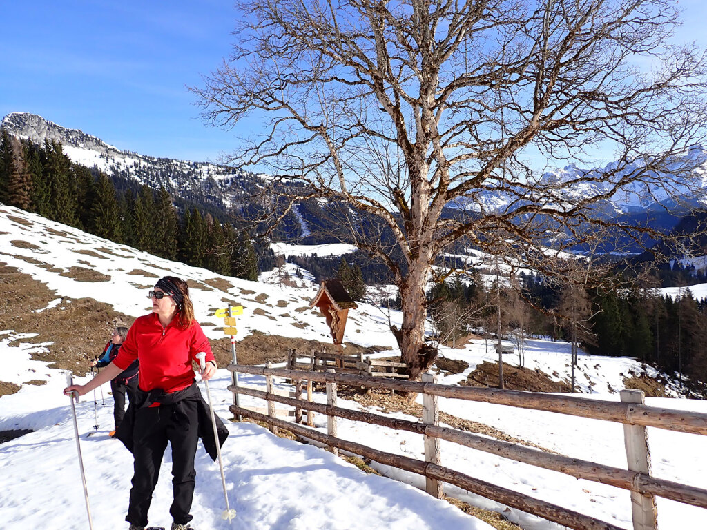 Almwanderung im Frühling