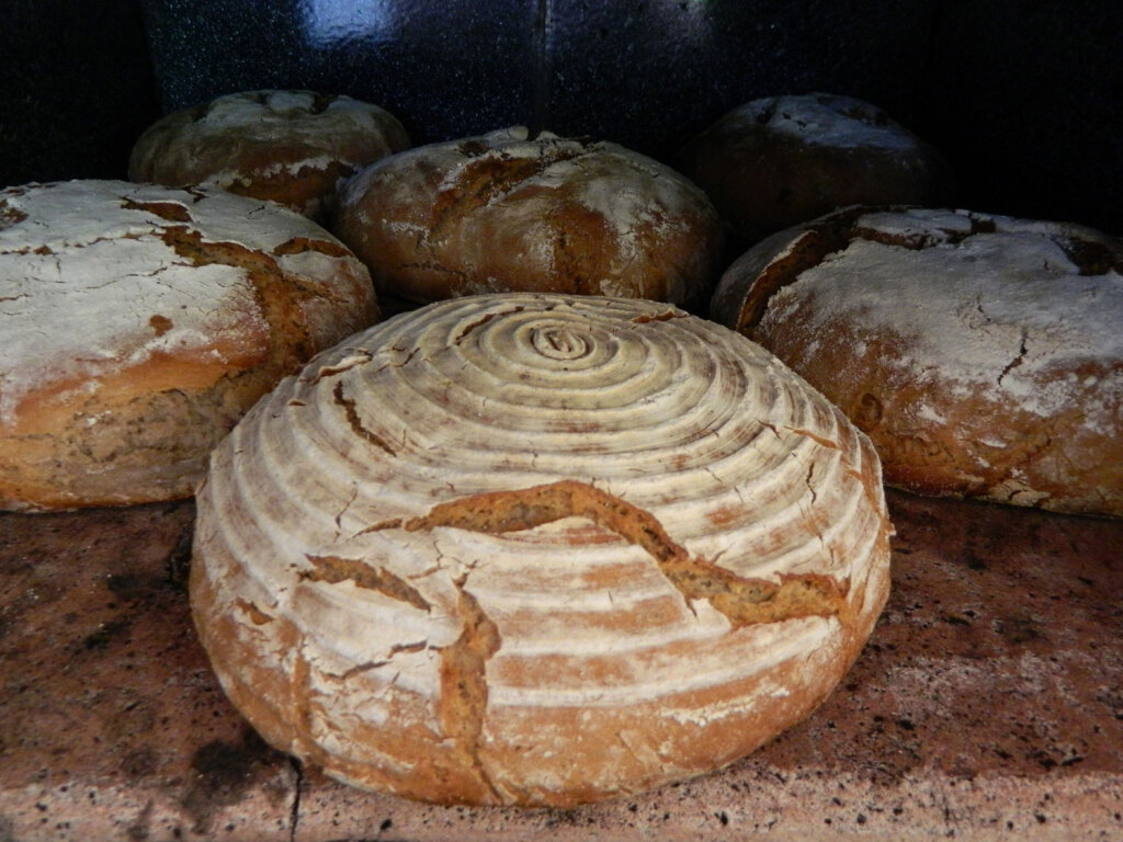 bauernbrot-brotlaib-brotofen