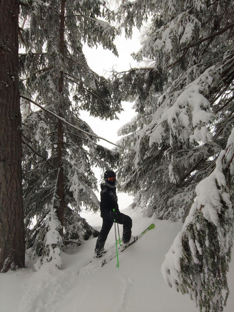 Skischüler im Tiefschnee