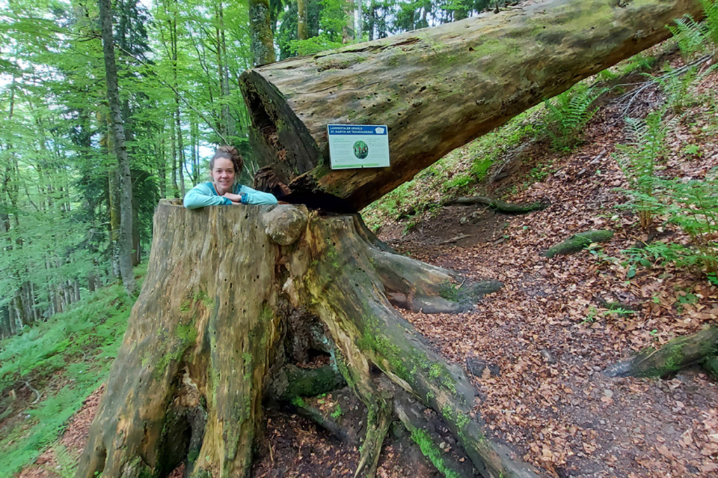 Kinderwanderung im Tennengau