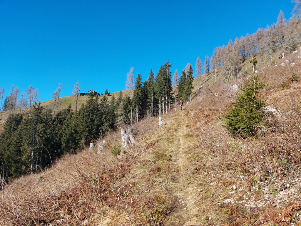 Aufstieg zur Schwarzeneggalm