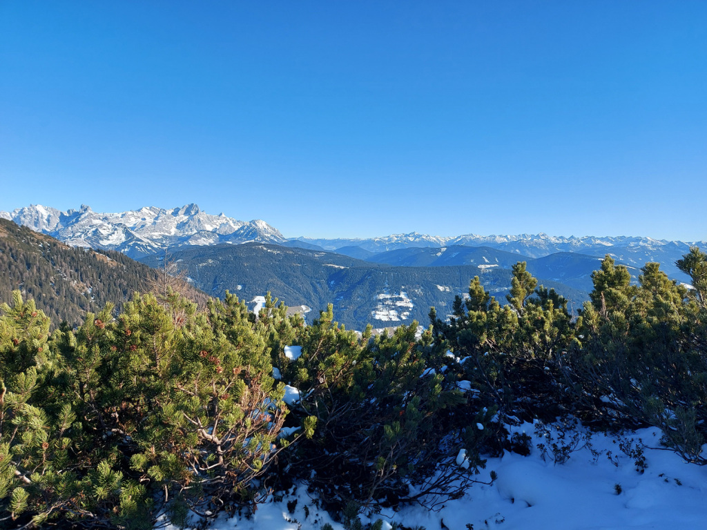 Aussichtsberg mit Gosaukamm