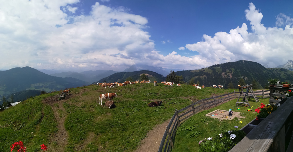 Einkehren auf der Schwarzeneggalm