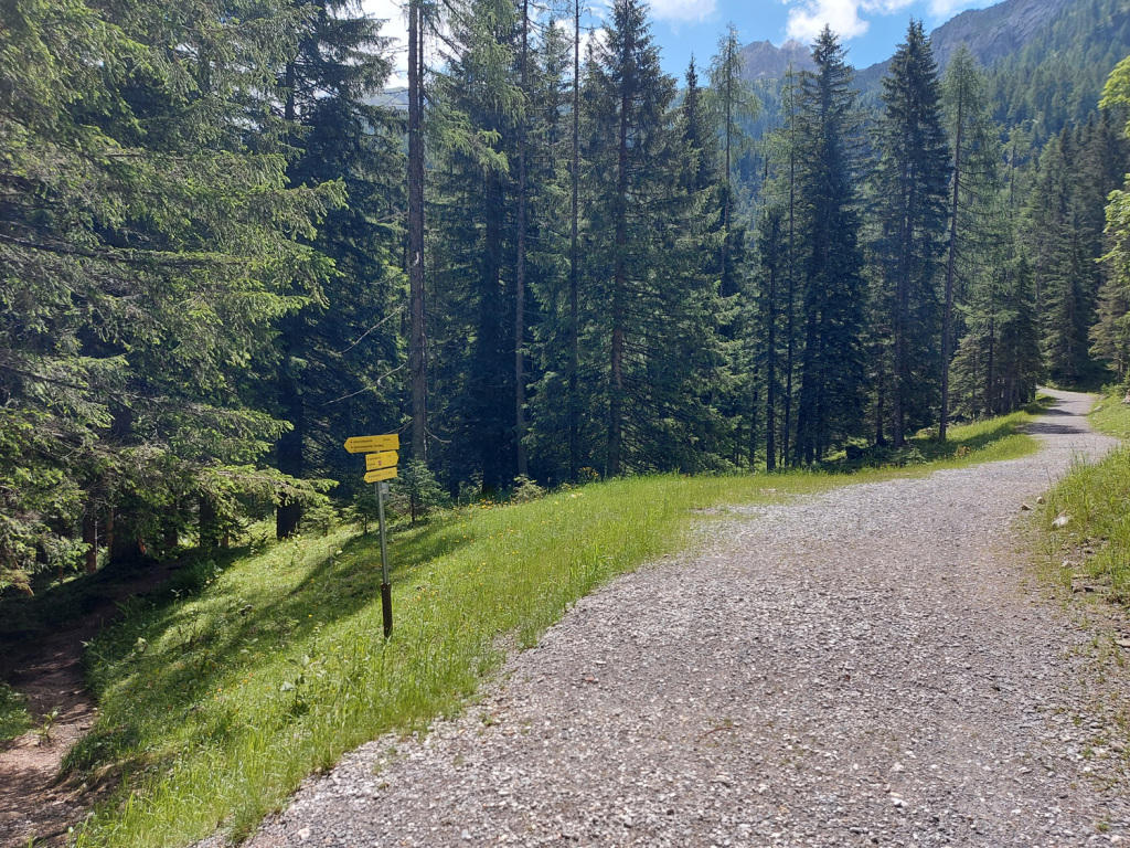 Rundweg oder direkt