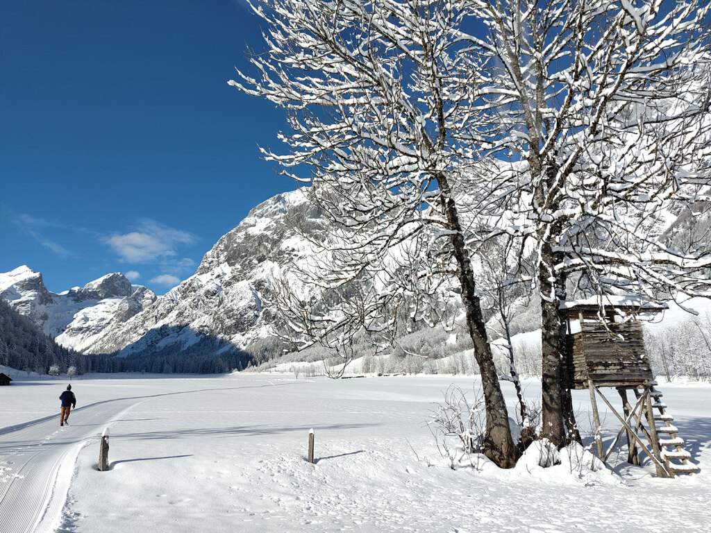 Natur beim Winterwandern