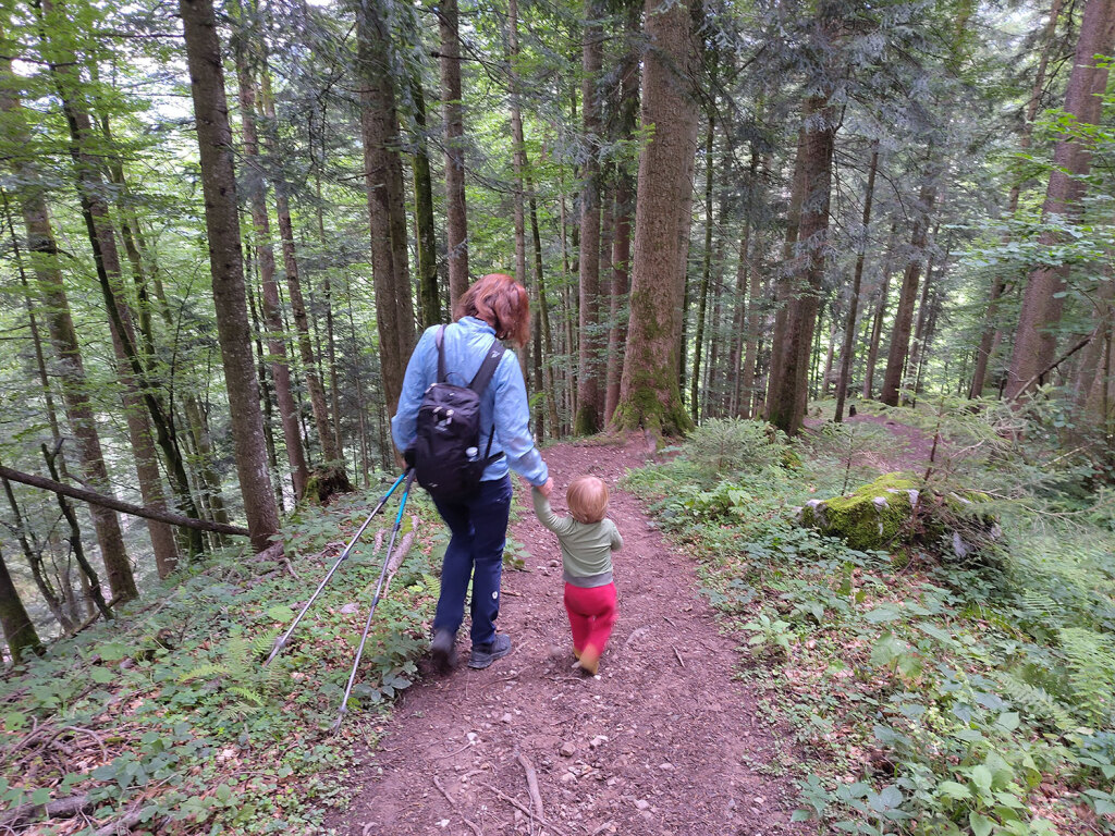 Waldweg Rohrhofhütte