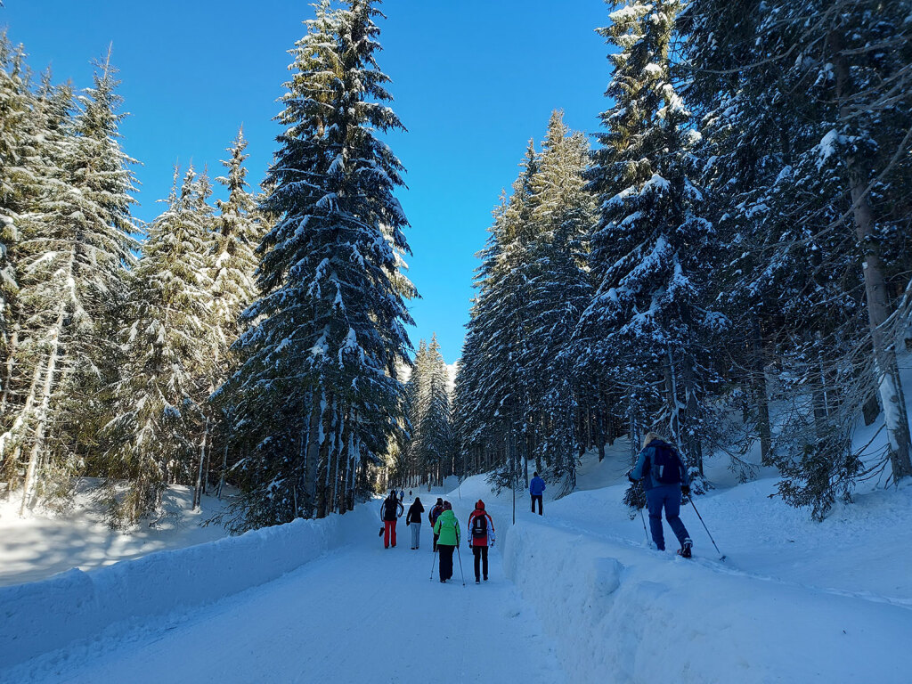 Winterwandern durch den Wald