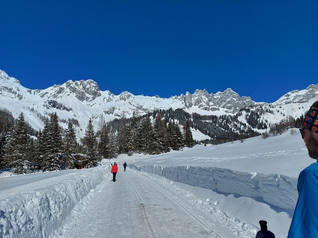 Blick auf den Gosaukamm