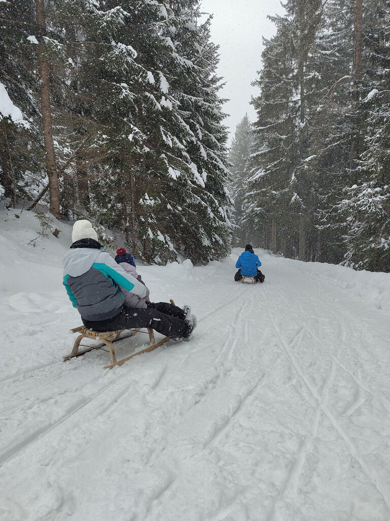 Schlittenfahren auf der Höllalm