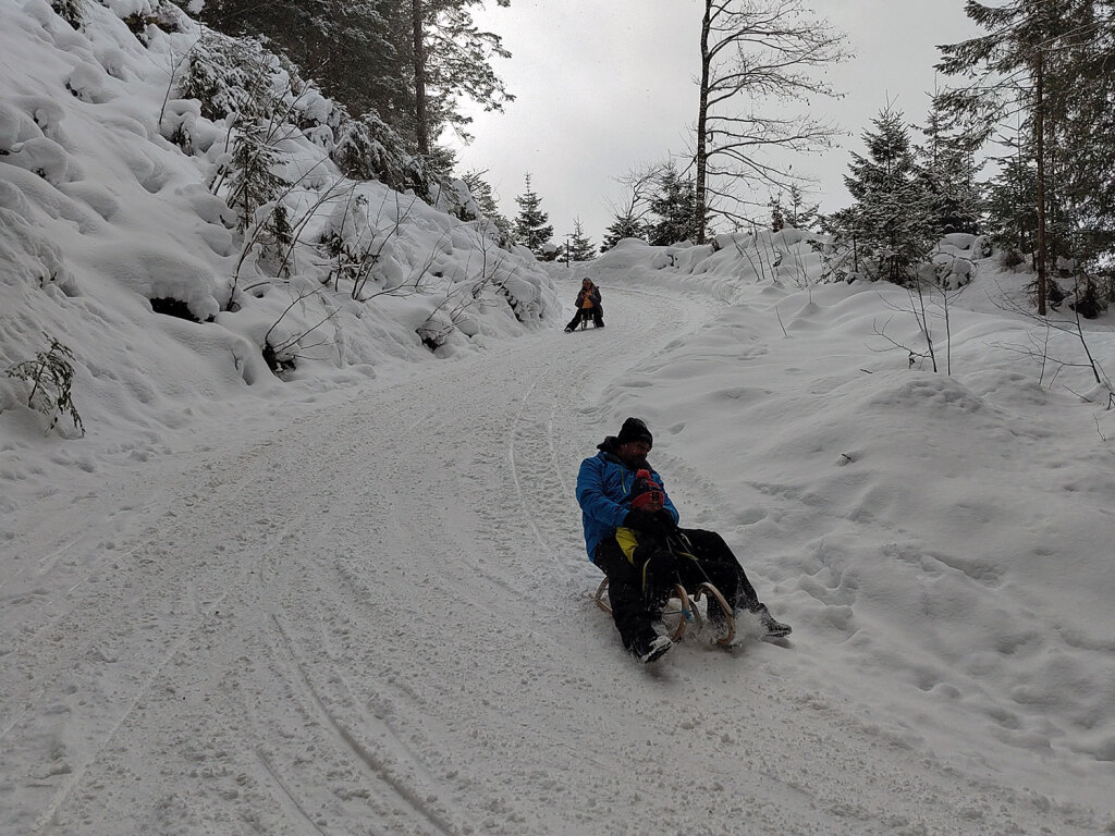 Rodeln im Salzburger Land