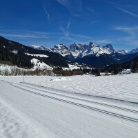 Langlaufloipe Lammertal