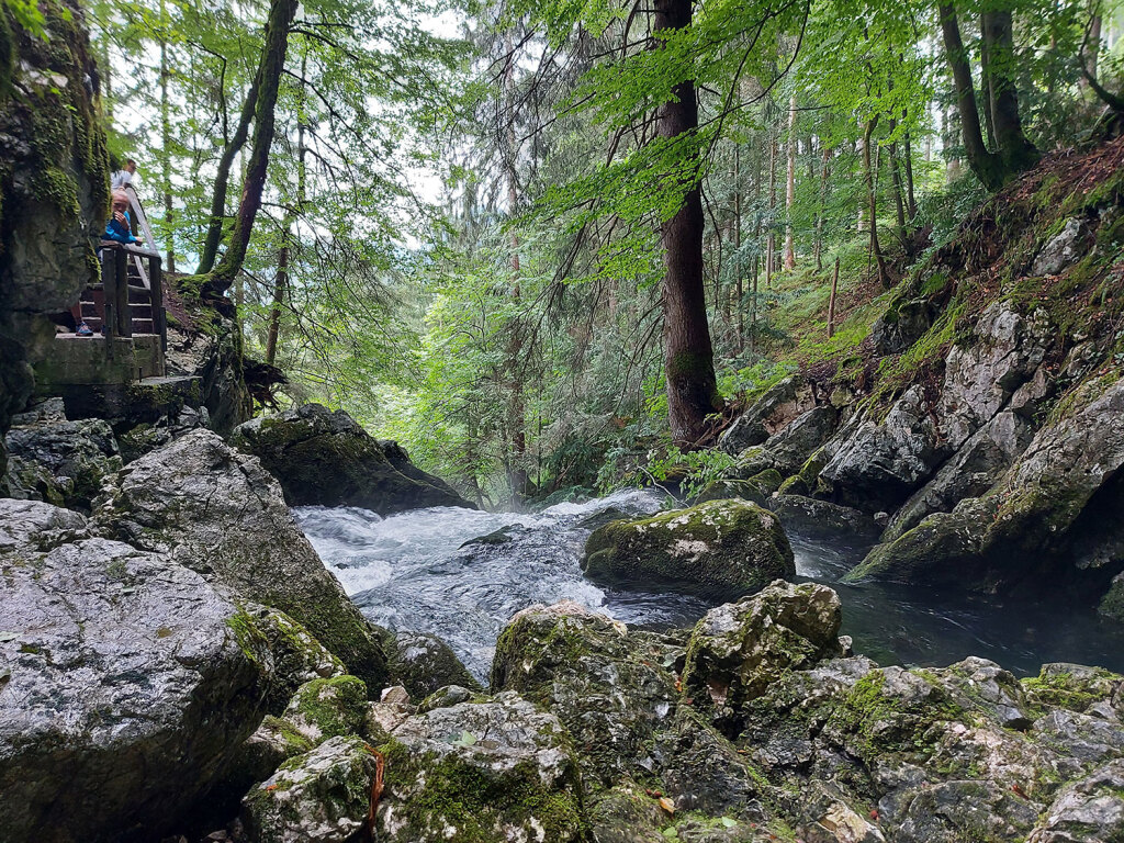 Quelle Gollinger Wasserfall